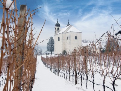 Villa No title - Environment photo 34