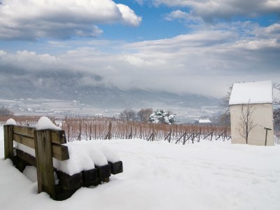 Villa No title - Environment photo 35