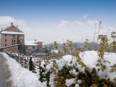 Villa No title - Environment photo 36