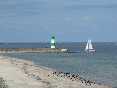 Holiday apartment Ferienwohnung Sturmvogel Olpenitz - Environment photo 30