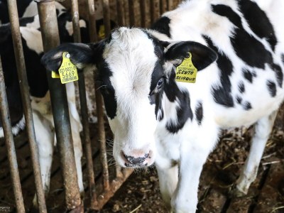 Holiday apartment Heukammer - Outdoor photo 11