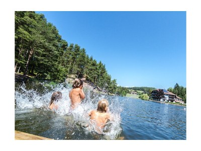 Holiday apartment Heukammer - Environment photo 25