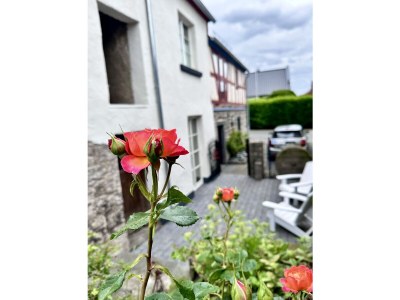 Holiday house Holiday Home Fachwerkhaus Rosengärtchen by Vulkaneifel-Chalets - Outdoor photo 5