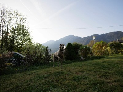 Holiday house Chalet Bergblick - Outdoor photo 11