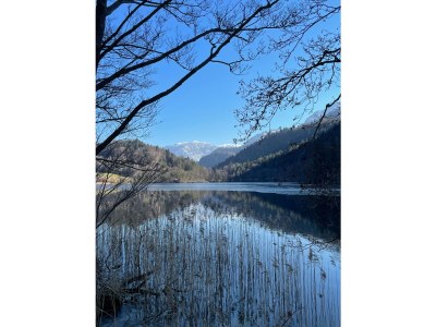 Holiday house Chalet Bergblick - Environment photo 37