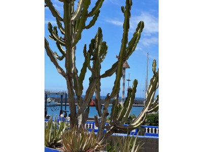 Holiday house Haus Meer - Environment photo 32