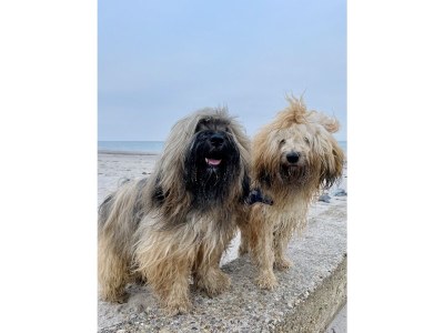 Holiday house Küstenrose - Environment photo 21