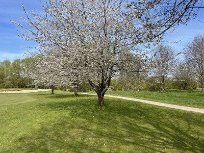 Holiday house Küstenrose - Environment photo 23