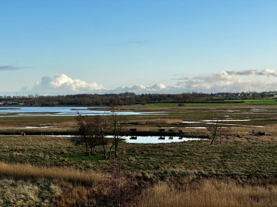 Holiday house Küstenrose - Environment photo 30