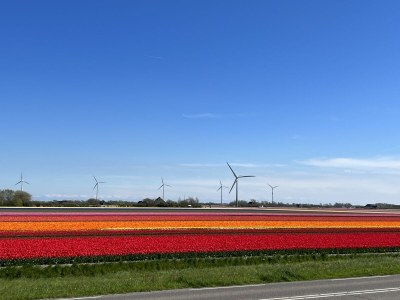 Holiday house Lyla - Environment photo 33