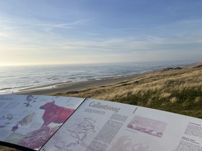 Holiday house Lyla - Environment photo 40