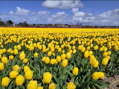 Holiday house Lyla - Document photo 44