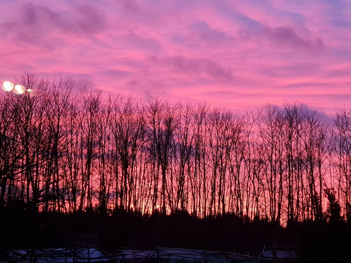 Apartment Fewo Ollywood Hills, 1 Schlafzi, Dusche, WC, - Outdoor photo 2