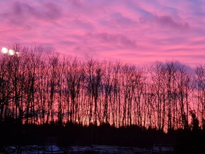 Apartment Fewo Ollywood Hills, 1 Schlafzi, Dusche, WC, - Outdoor photo 2