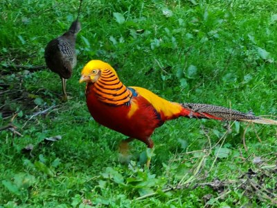 Apartment Fewo Ollywood Hills, 1 Schlafzi, Dusche, WC, - Features photo 7