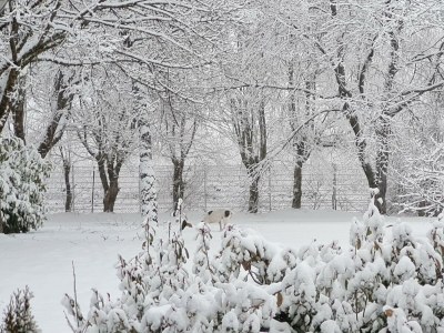 Apartment Fewo Ollywood Hills, 1 Schlafzi, Dusche, WC, - Features photo 47