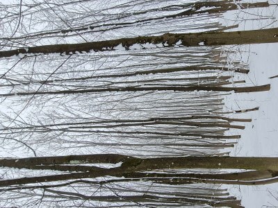 Apartment Fewo Ollywood Hills, 1 Schlafzi, Dusche, WC, - Features photo 48