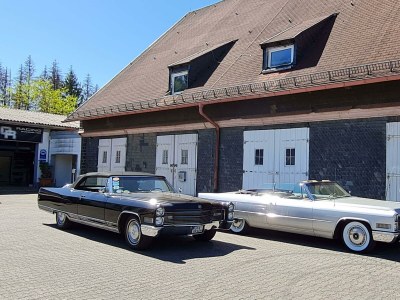 Apartment Fewo Ollywood Hills, 1 Schlafzi, Dusche, WC, - Features photo 51