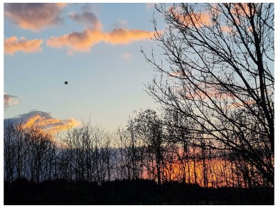 Apartment Fewo Ollywood Hills, 1 Schlafzi, Dusche, WC, - Features photo 56