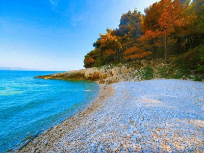 Villa Biba - Environment photo 41