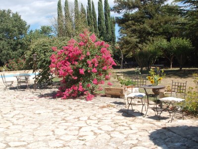 Holiday apartment Camargue - Outdoor photo 5