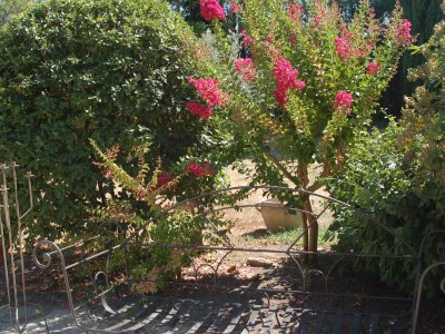 Holiday apartment Camargue - Outdoor photo 10