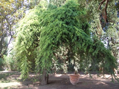 Holiday apartment Camargue - Outdoor photo 13