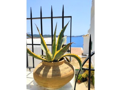 Holiday apartment No title - Environment photo 32