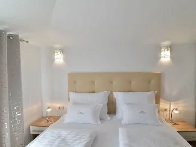 Villa MUSKATEL in Brzac - Villa