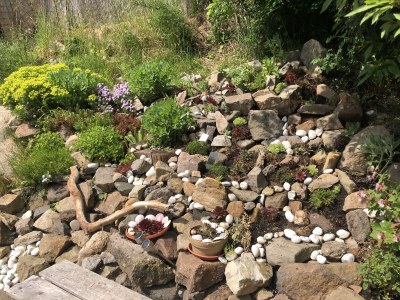 Holiday apartment Umgebindehaus ökologisch modern - Outdoor photo 6