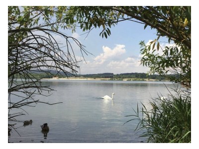 Holiday apartment Umgebindehaus ökologisch modern - Environment photo 26