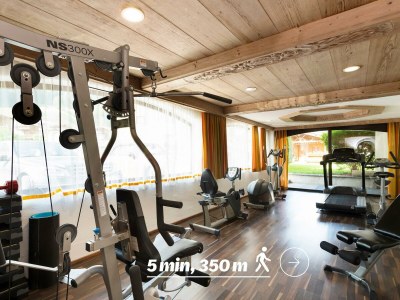 Holiday room Apartment Zindegg mit ÜF im Hotel Stubaierhof - Outdoor photo 42