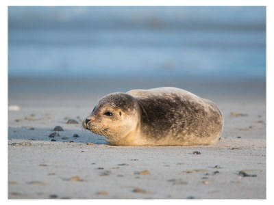 Holiday house DO26 Newly renovated holiday apartment - Features photo 19