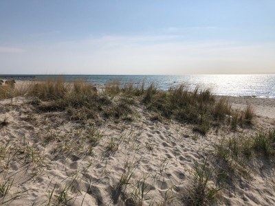 Holiday apartment Seemannsgarn - Environment photo 15