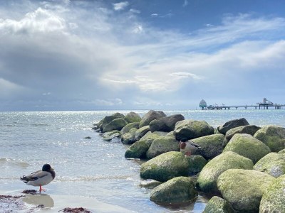 Holiday apartment Seemannsgarn - Environment photo 17