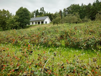Holiday house Hube - Outdoor photo 3