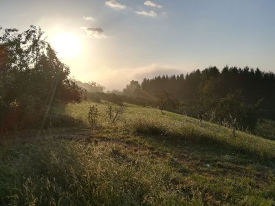 Holiday house Hube - Environment photo 21