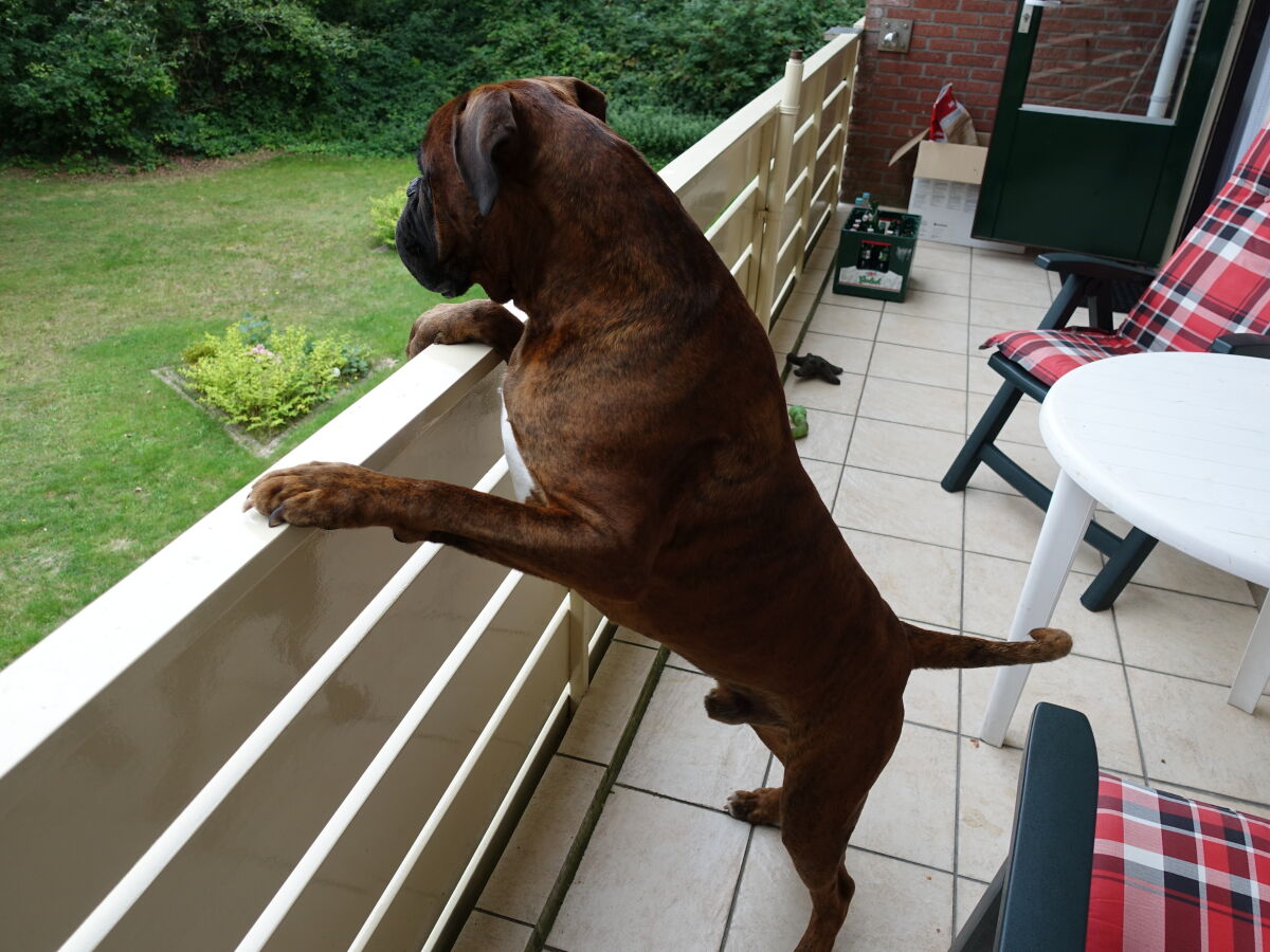 Holiday apartment 'T Kerckeland - Outdoor photo 2