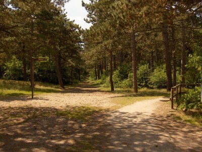 Holiday apartment 'T Kerckeland - Environment photo 10