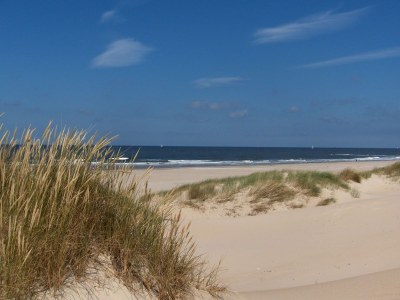 Holiday apartment 'T Kerckeland - Environment photo 13