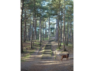 Holiday apartment 'T Kerckeland - Environment photo 16