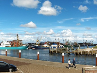 Holiday apartment 'T Kerckeland - Environment photo 23