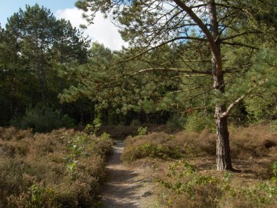 Holiday apartment 'T Kerckeland - Environment photo 24