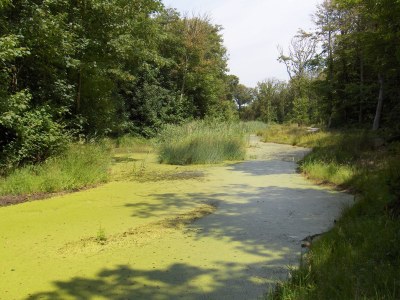 Holiday apartment 'T Kerckeland - Environment photo 25