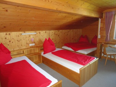 Holiday apartment Haus Troy - Features photo 5