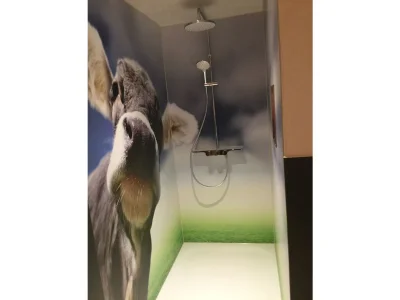 Holiday apartment Haus Troy - Features photo 9