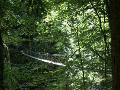 Holiday apartment Haus Troy - Environment photo 13