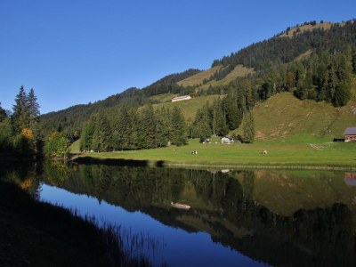 Holiday apartment Haus Troy - Environment photo 17