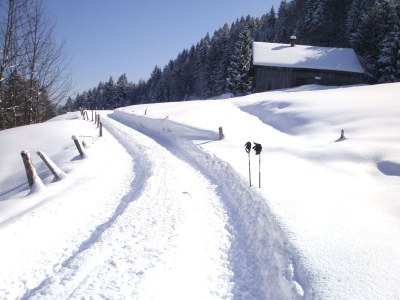 Holiday apartment Haus Troy - Environment photo 22