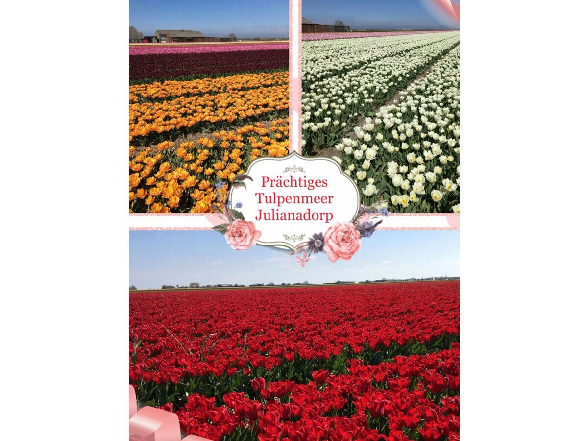 Holiday house Juliana Nr. 176 - Outdoor photo 4